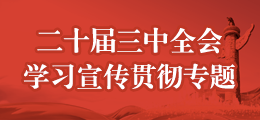 二十屆三中全會學習宣傳貫徹專題